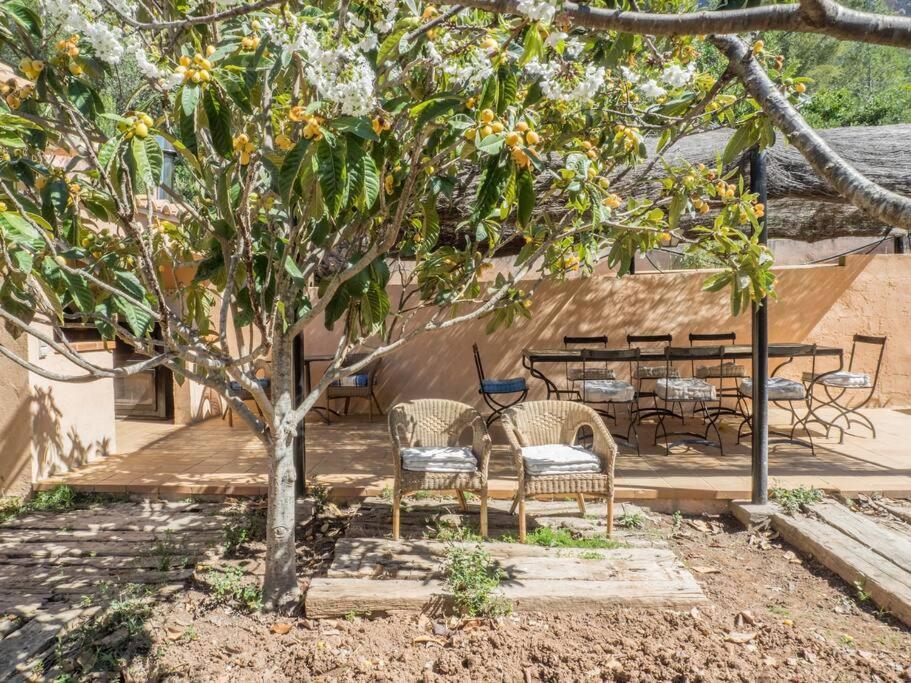 Ferienhaus Es Murteret, Grupo Mistral *
