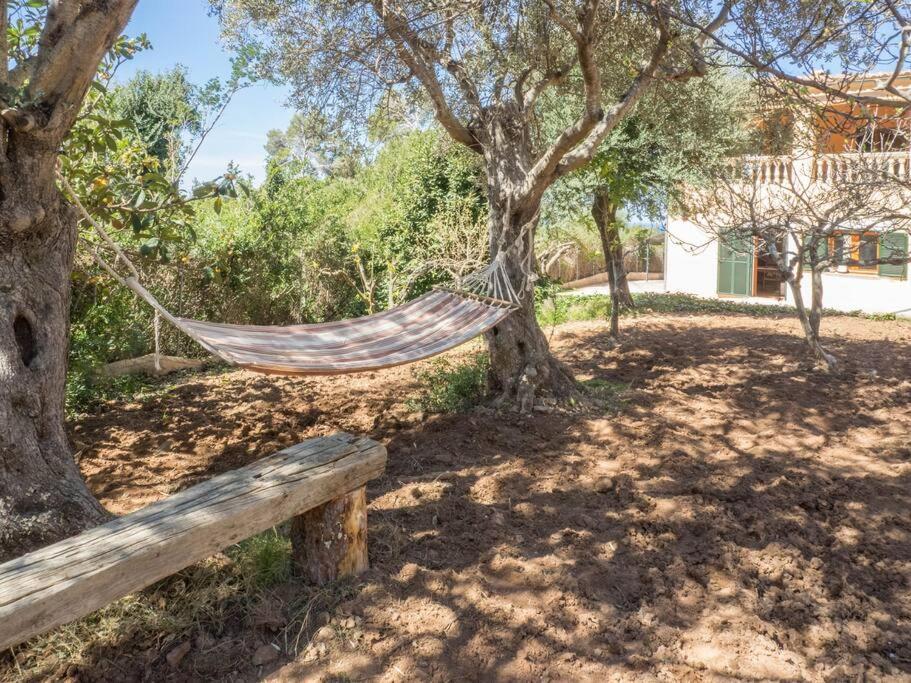 Ferienhaus Es Murteret, Grupo Mistral *